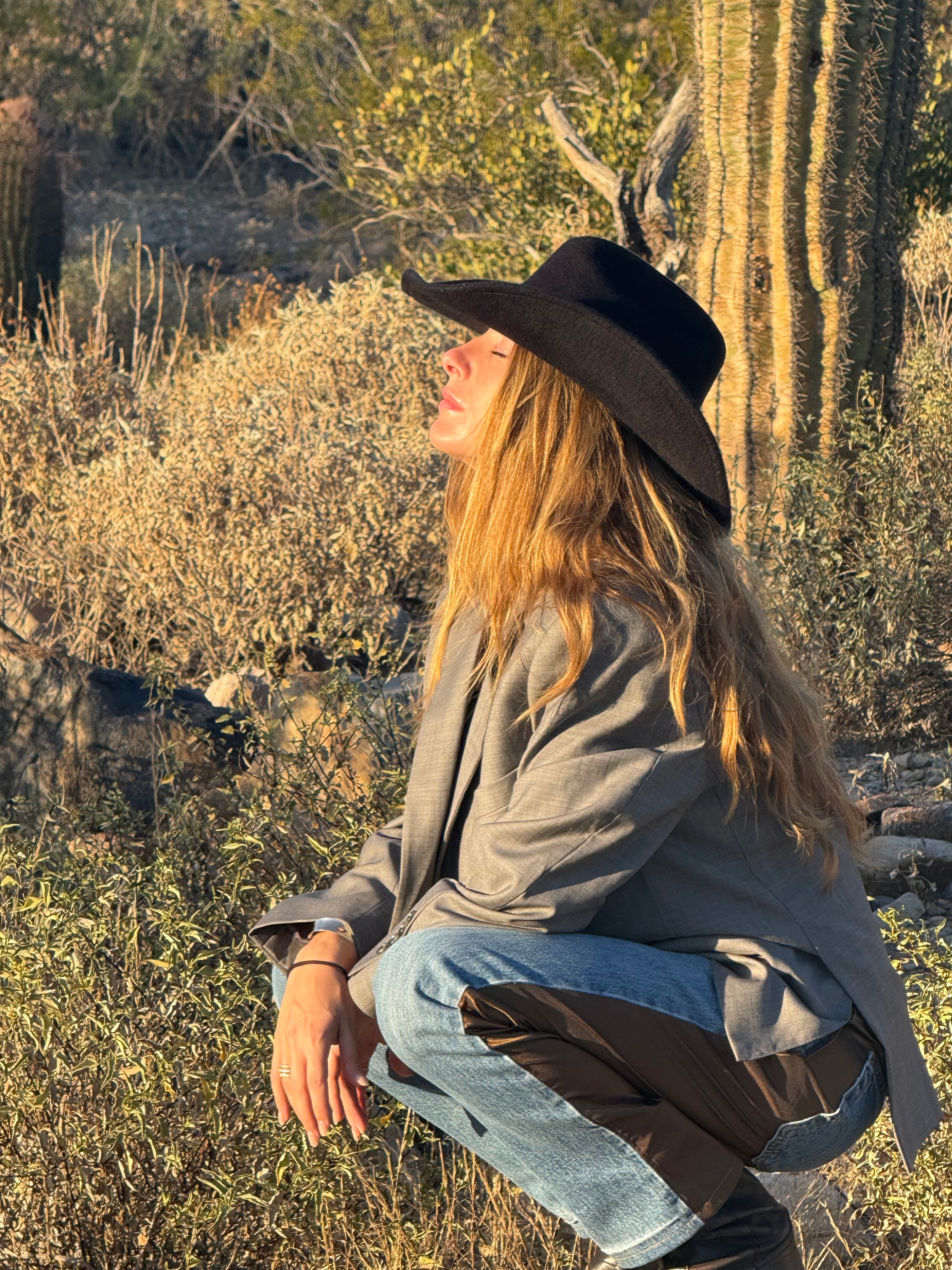 Arizona Sunset 002