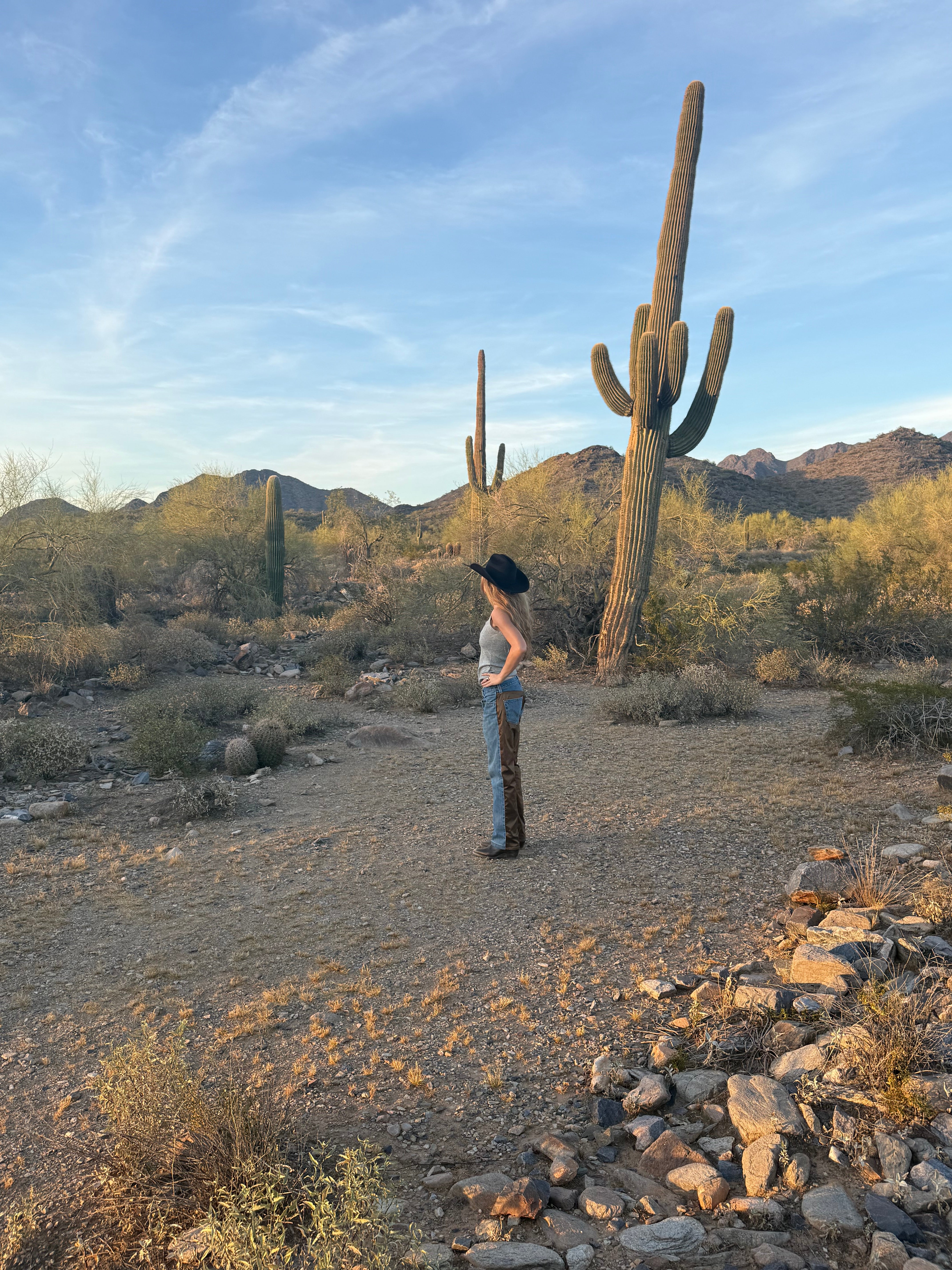 Arizona Sunset 002