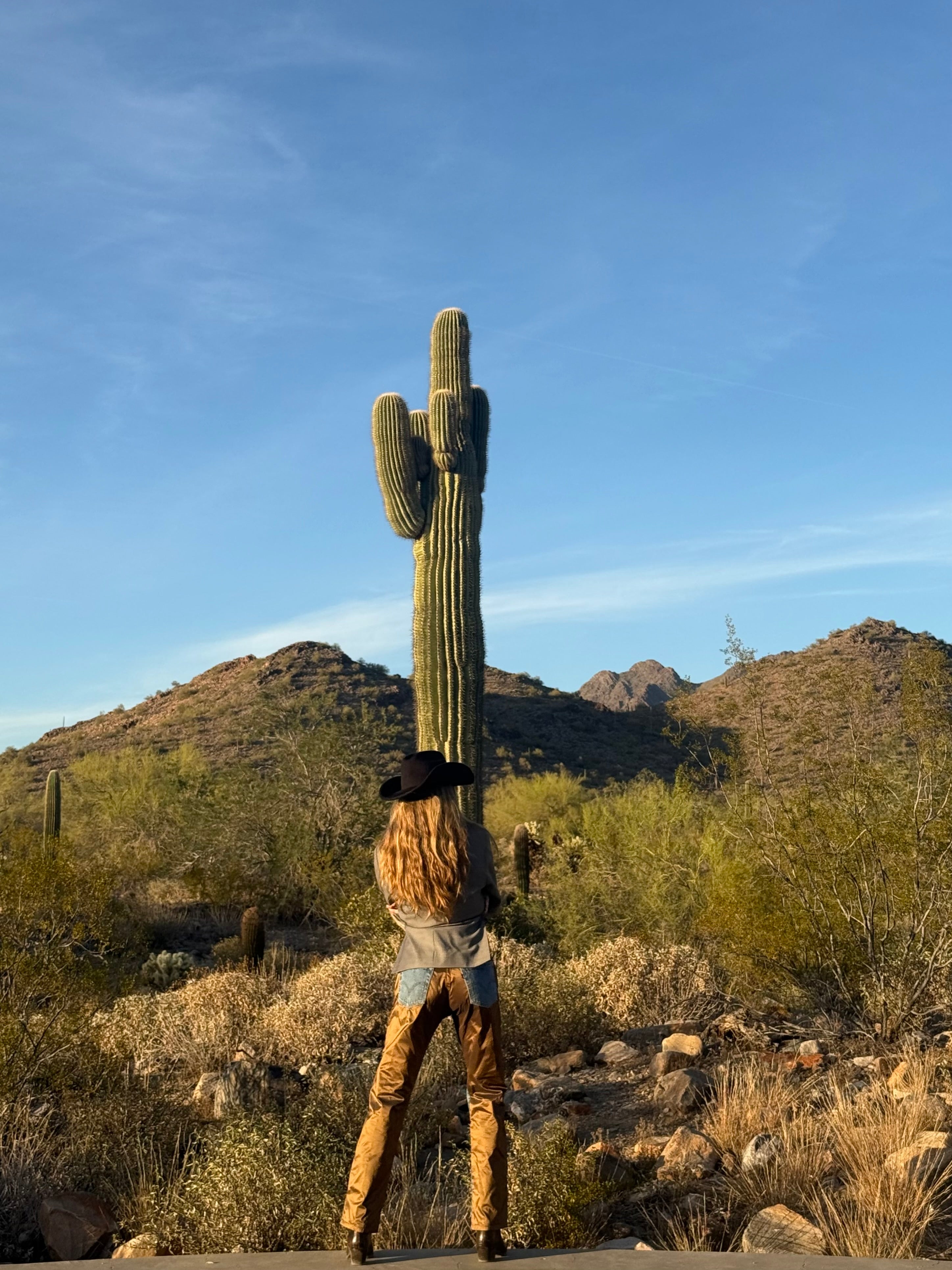 Arizona Sunset 002